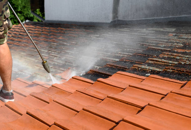 Best Deck Cleaning Services  in Ocean Pointe, HI